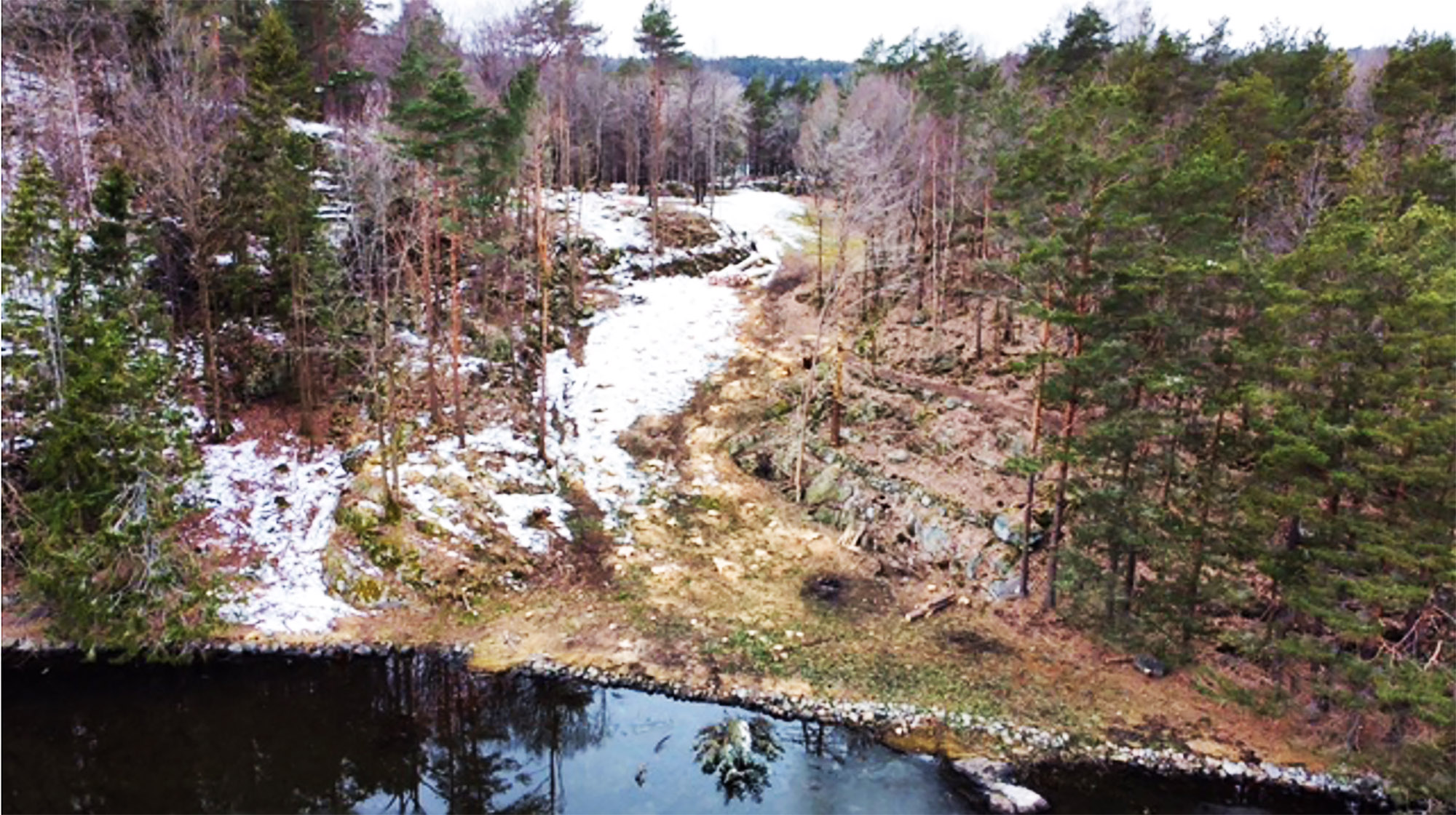 GRINDEKRA etter hogst